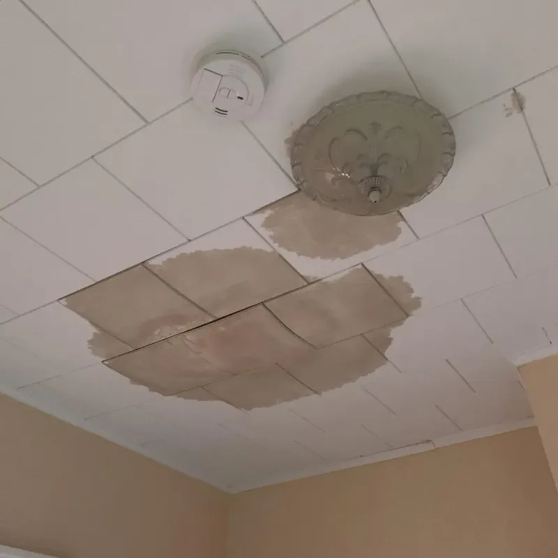 Ceiling Water Damage Repair in Cherokee, OK