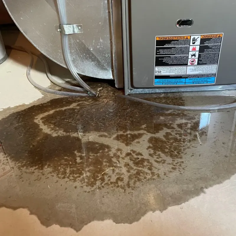 Pipe Burst and Leak Restoration in Cherokee, OK
